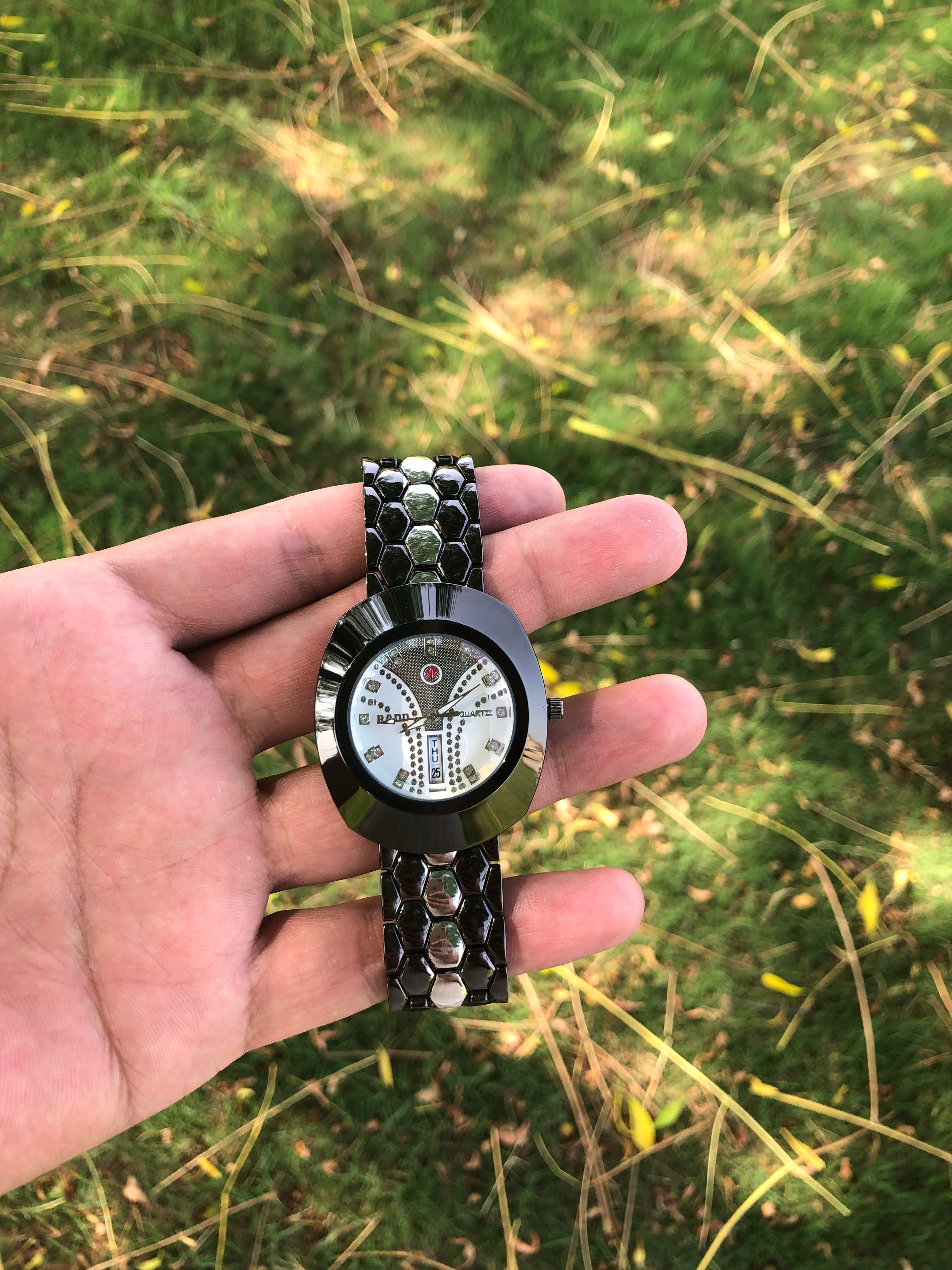 Black Simple Decent Watch (Date,Day Display)
