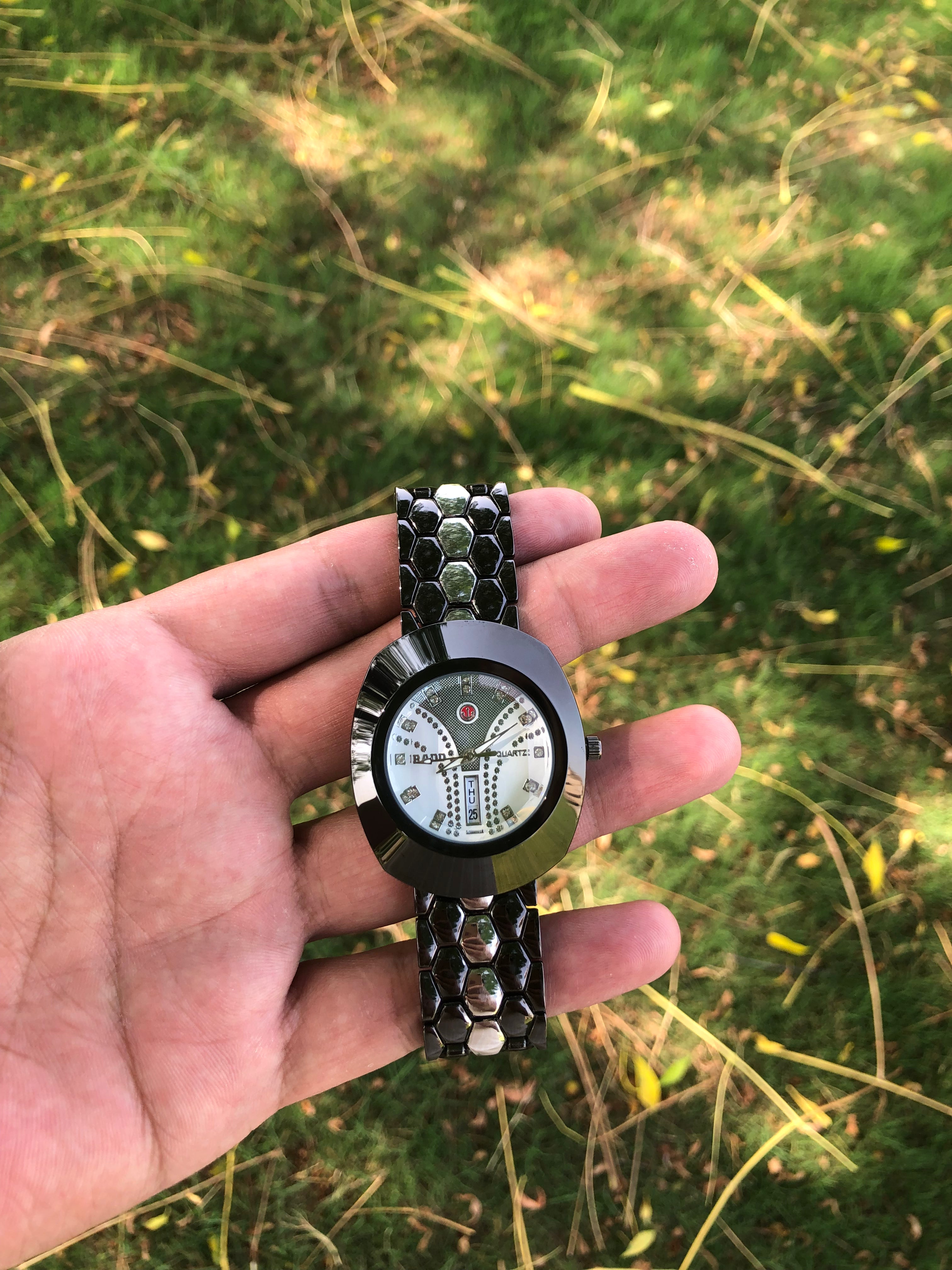Black Simple Decent Watch (Date,Day Display)
